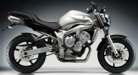 Yamaha FZ6 / FZ6 Fazer Rizoma Parts