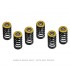 Zoom Barnett Clutch Spring Kit