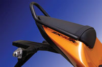 Renntec Grab Rails & Sissy Bars