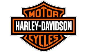 Harley-Davidson Brake Discs