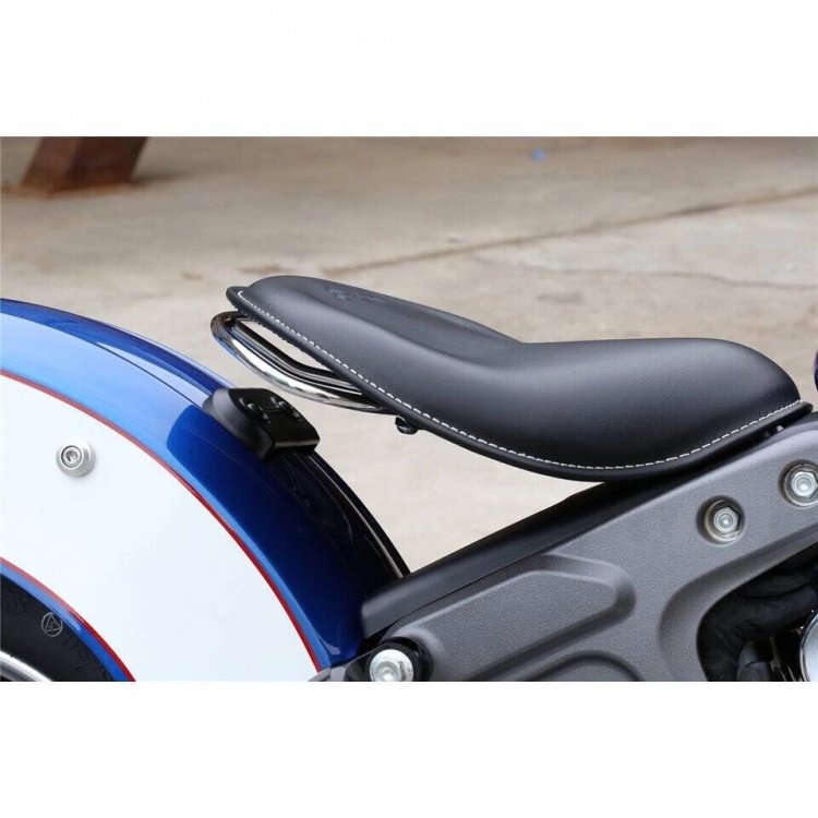 Indian Scout 1920 Solo Saddle Grab Rail