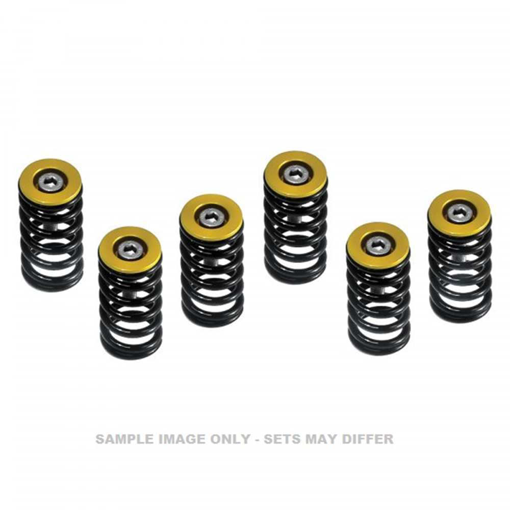 Barnett Clutch Spring Kit