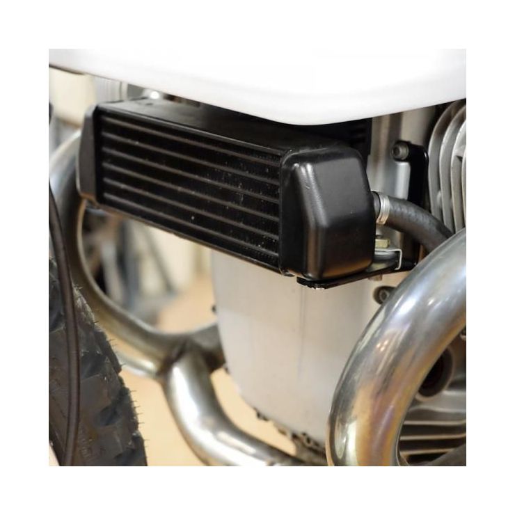 BMW R18 Carbon Fiber Oil Cooler Guard